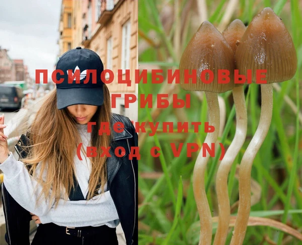 скорость mdpv Бородино