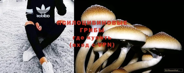 a pvp Бугульма