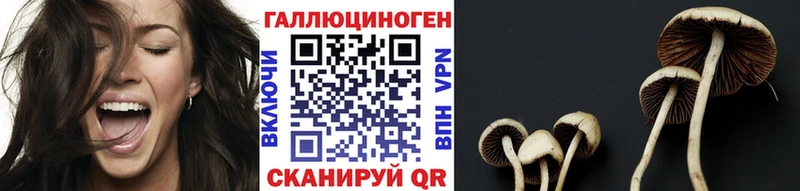 сколько стоит  Северобайкальск  Псилоцибиновые грибы мицелий 